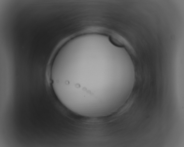 X0000101451275200807071103