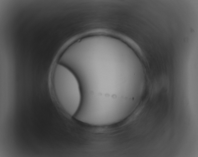 X0000101451279200807071103