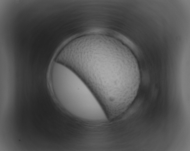 X0000101451283200807071103
