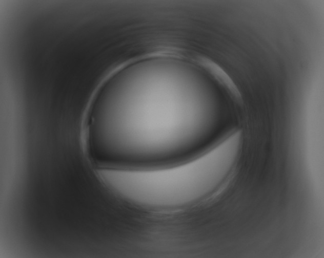 X0000101451284200807071103