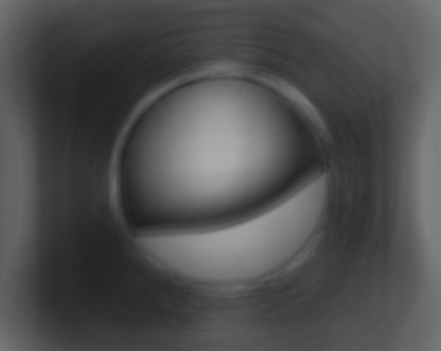 X0000101451288200807071103