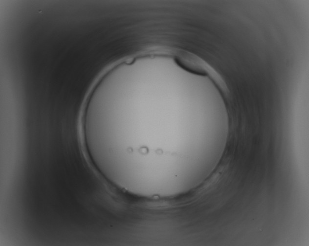 X0000101451291200807071103