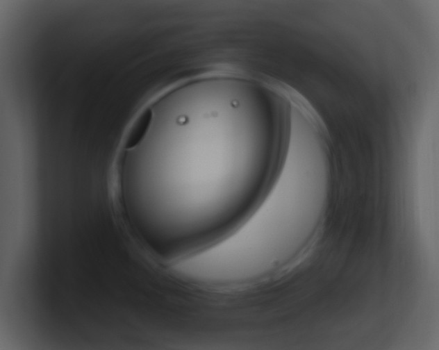 X0000101451292200807071103