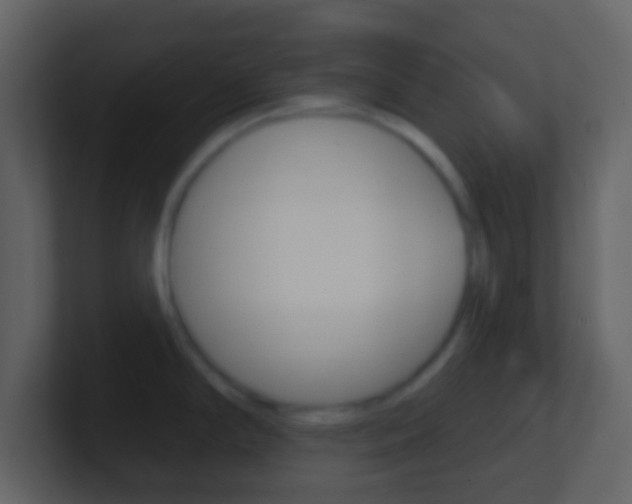 X0000101451294200807071103