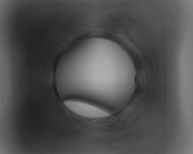 X0000101451298200807071102