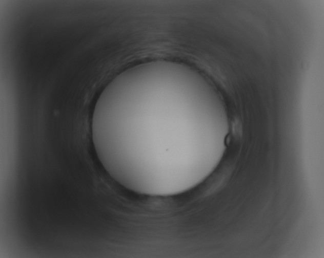 X0000101451299200807071102