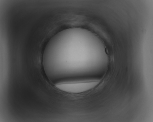 X0000101451300200807071102