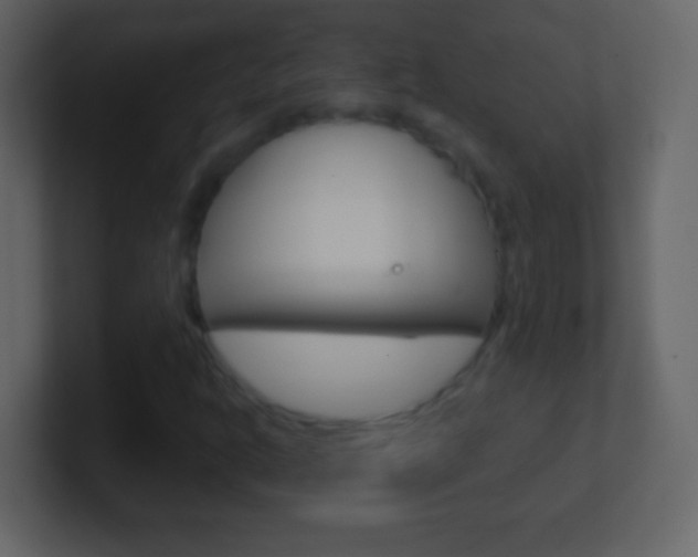 X0000101451302200807071102