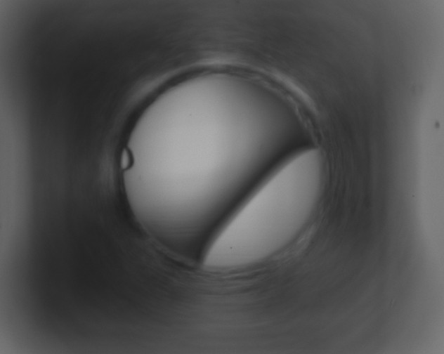 X0000101451311200807071102