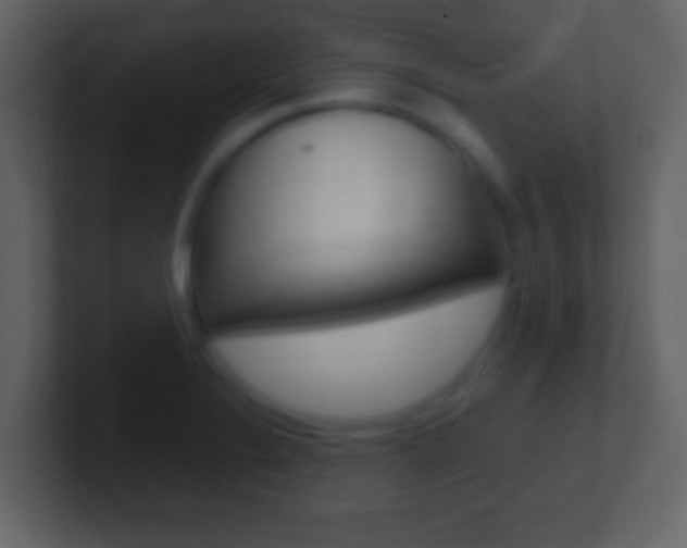 X0000101451324200807071102