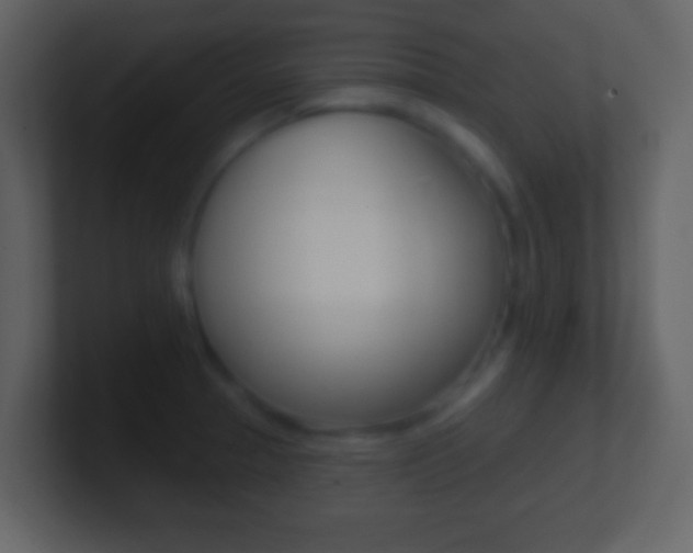 X0000101451329200807071102