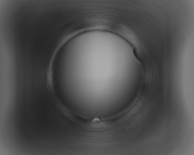 X0000101451332200807071102