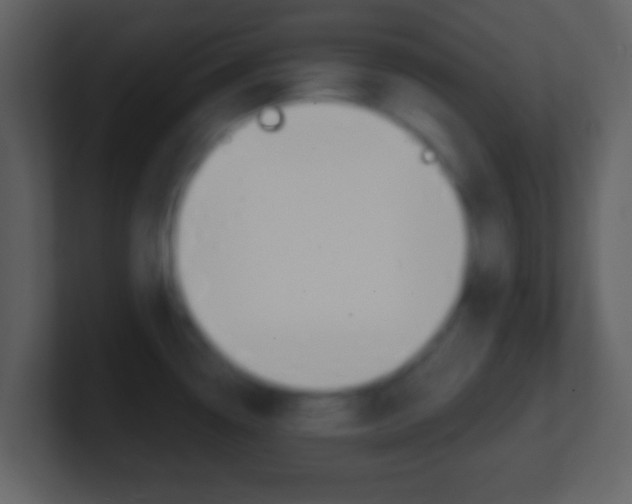 X0000101451338200807071103