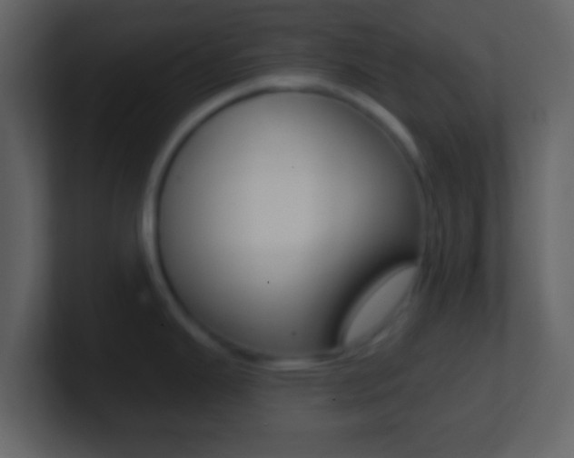 X0000101451343200807071103