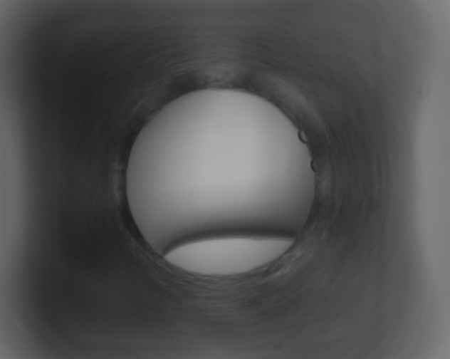 X0000101451346200807071102