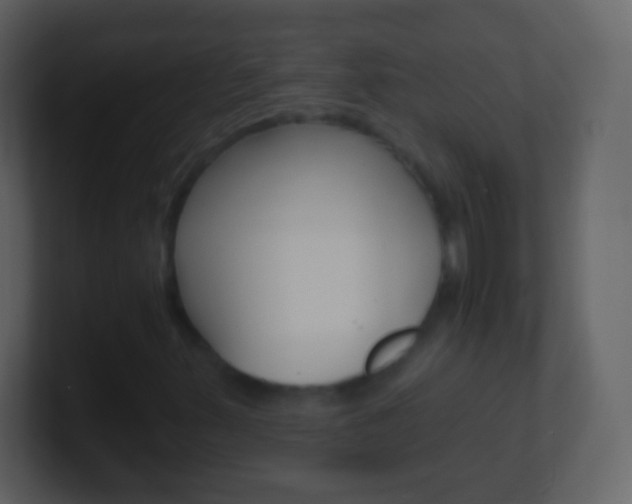 X0000101451347200807071102
