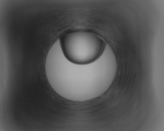 X0000101451348200807071102