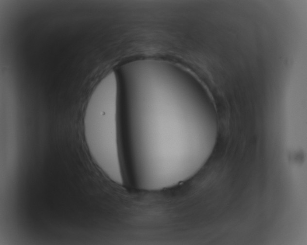 X0000101451349200807071102