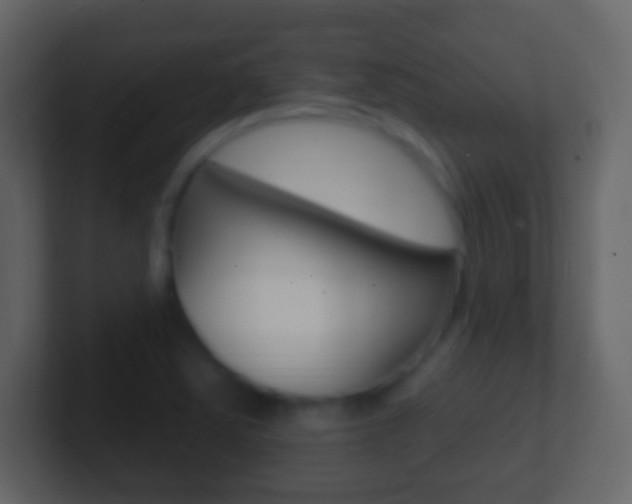 X0000101451363200807071102