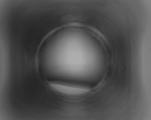 X0000101451364200807071102