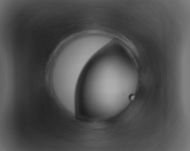 X0000101451368200807071102