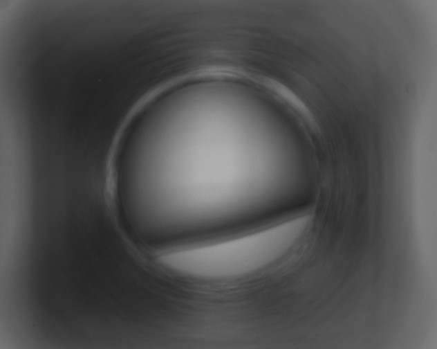 X0000101451372200807071102