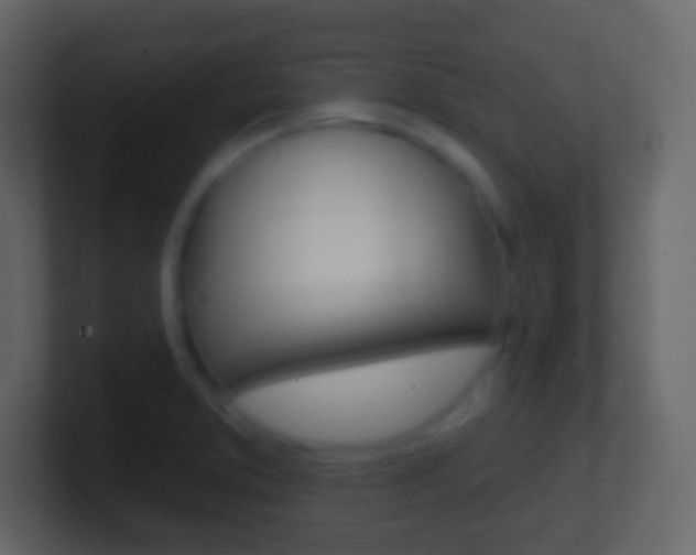 X0000101451373200807071102