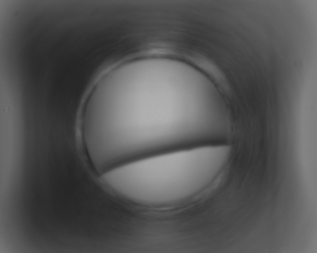 X0000101451374200807071102