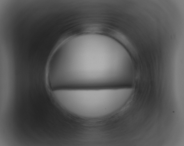 X0000101451378200807071102