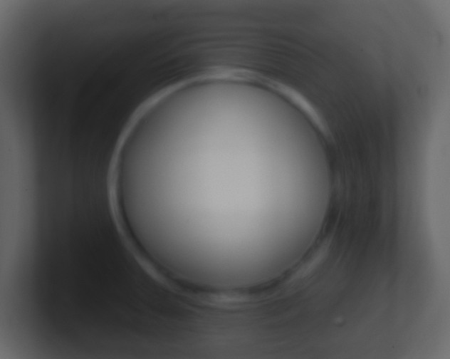 X0000101451379200807071102