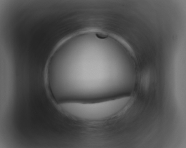 X0000101451382200807071101