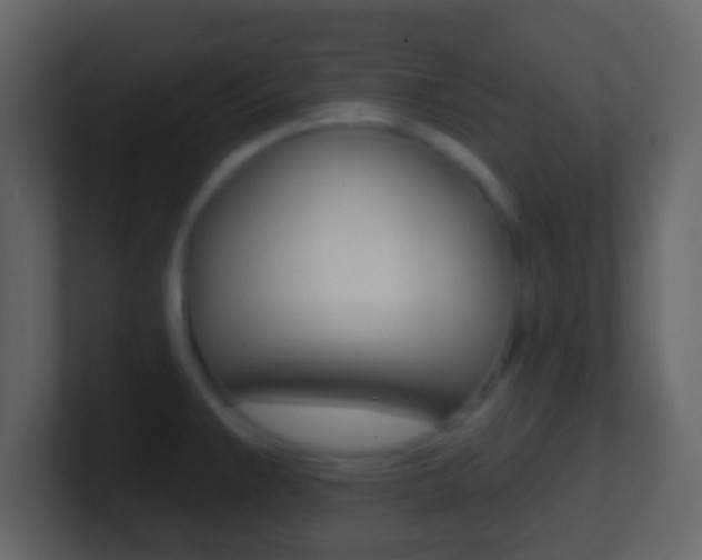 X0000101451383200807071101
