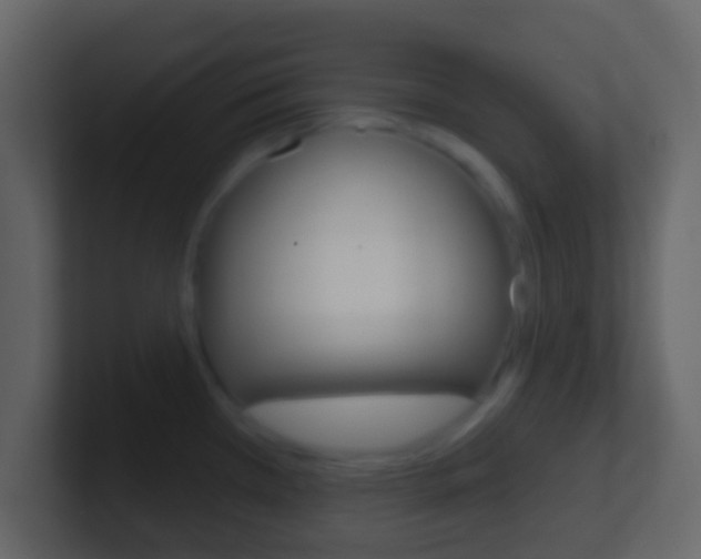 X0000101451385200807071101