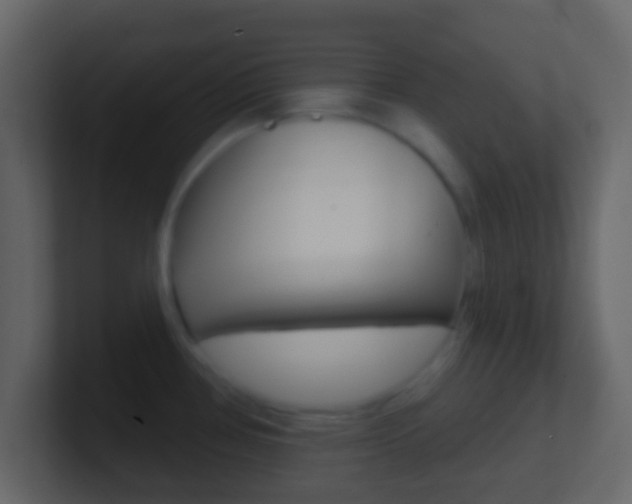 X0000101451386200807071101