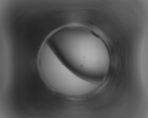 X0000101451388200807071101