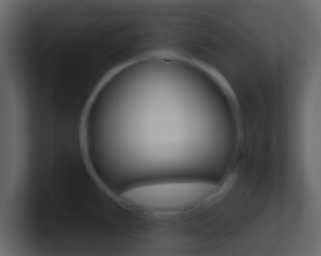 X0000101451389200807071101