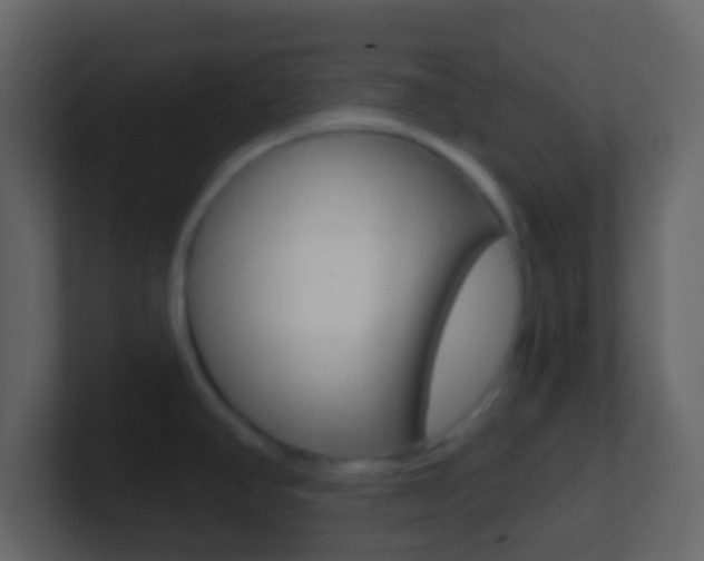 X0000101451390200807071101
