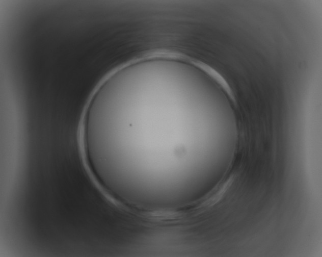 X0000101451391200807071101
