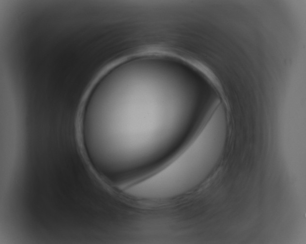 X0000101451392200807071101