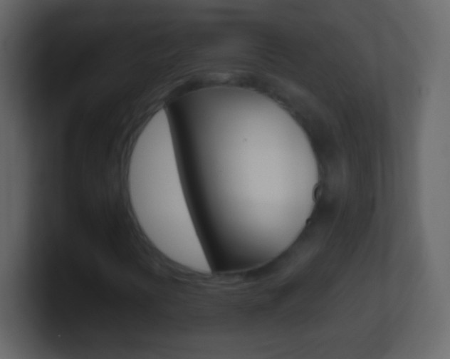 X0000101451394200807071101