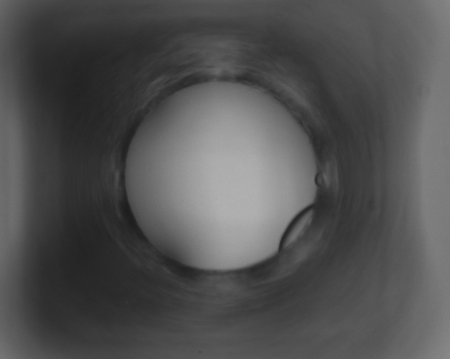 X0000101451396200807071101
