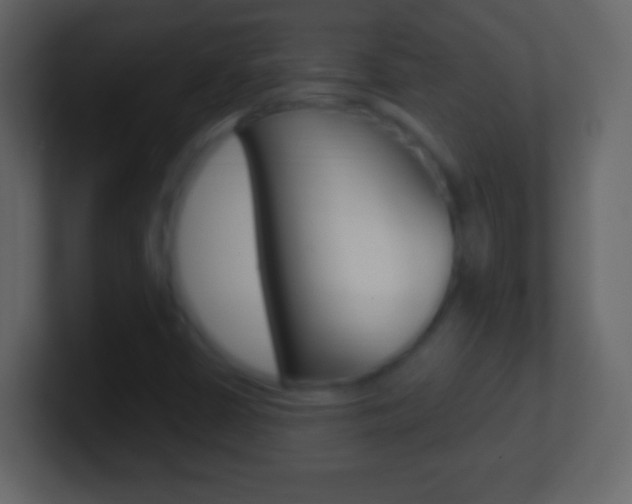 X0000101451402200807071101