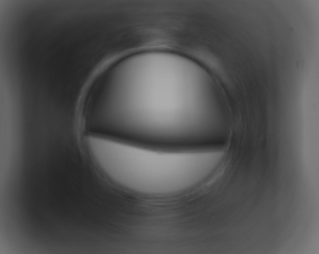 X0000101451414200807071101