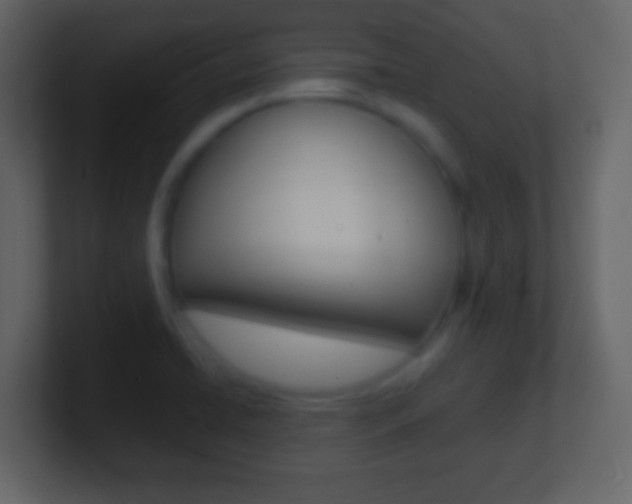 X0000101451422200807071101