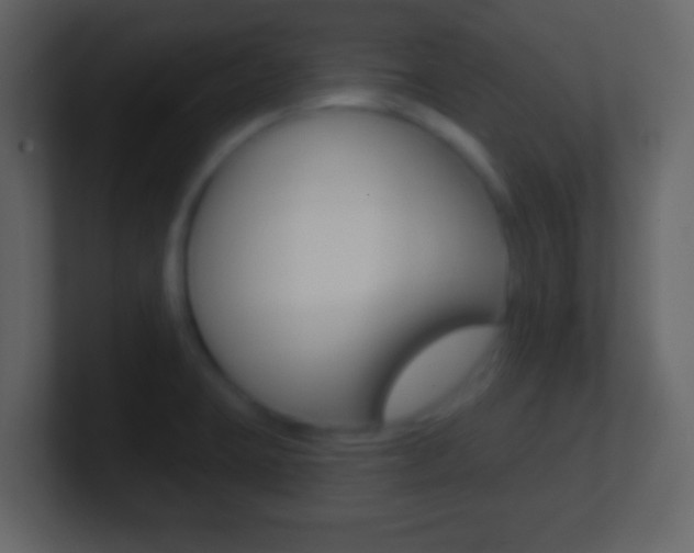 X0000101451423200807071101
