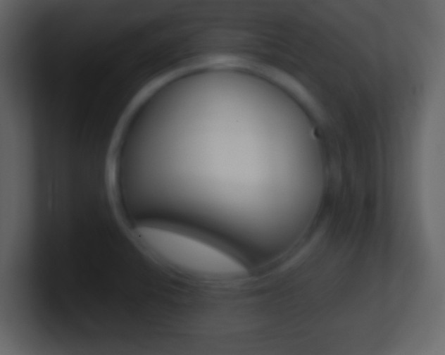 X0000101451424200807071101