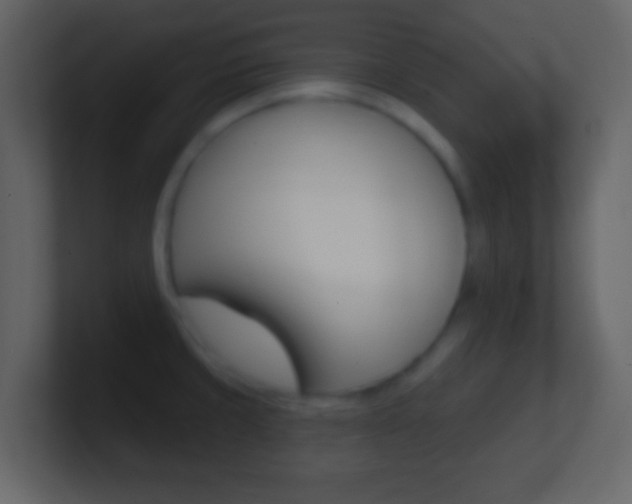 X0000101451429200807071101