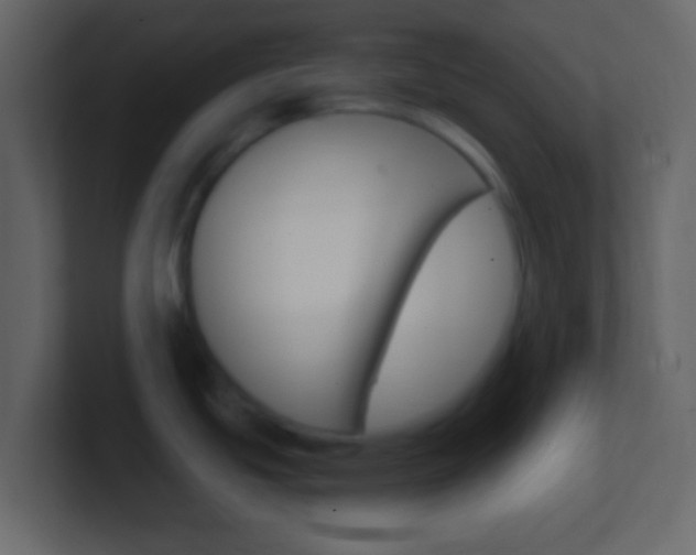 X0000101451439200807071101