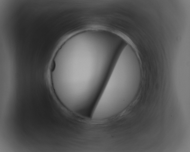 X0000101451440200807071101