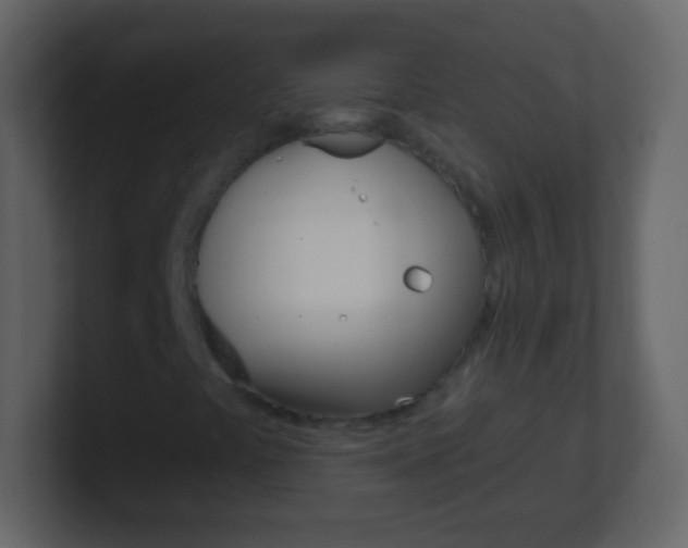 X0000101451441200807071101